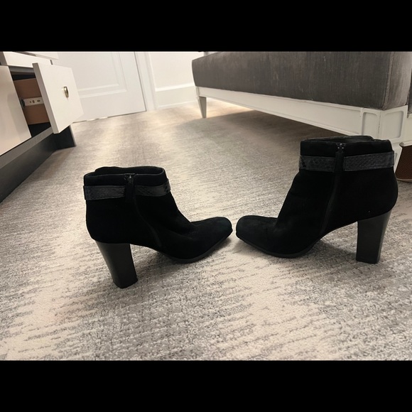 Via spiga suede ankle boots with leather strap - Picture 4 of 6